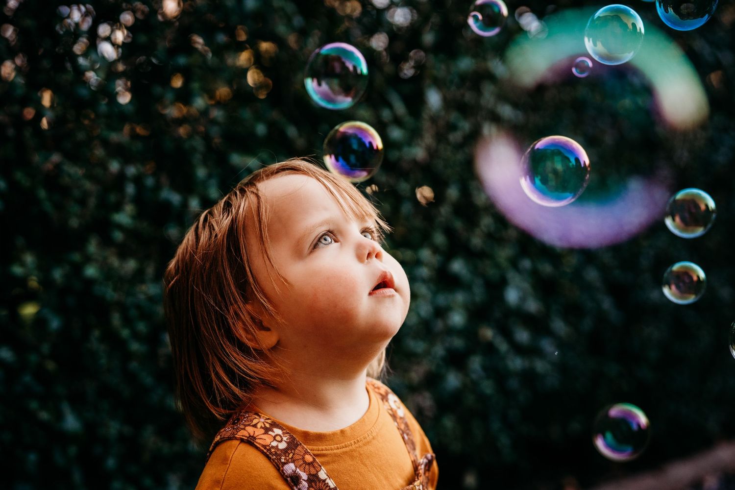 Small child in an orange top gazes up in wonder at floating iridescent soap bubbles against a dark green background. family PHOTOGRAPHER Dub