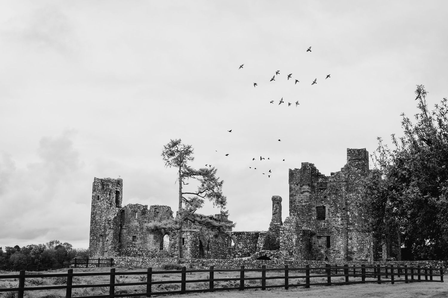 Historic castle ruins silhouetted against cloudy sky with birds flying overhead.