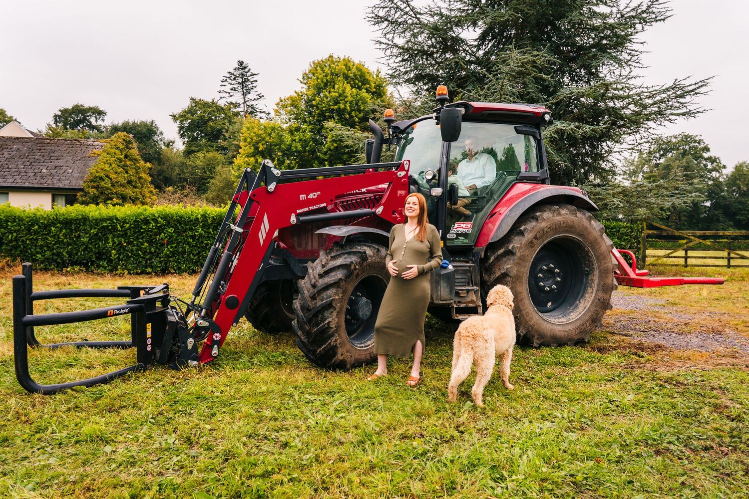 A red Massey Ferguson tractor with front loader parked on grass near a hedge with a dog standing nearby. family PHOTOGRAPHER Dublin