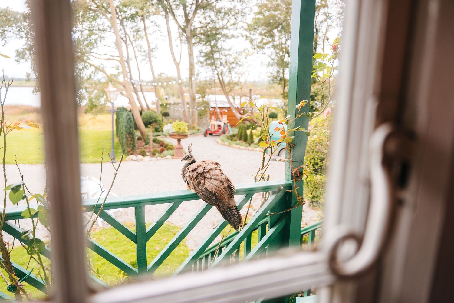 View through window panes with green decorative trim looking out to sunny outdoor scenery. Ashley Park Wedding Photographer