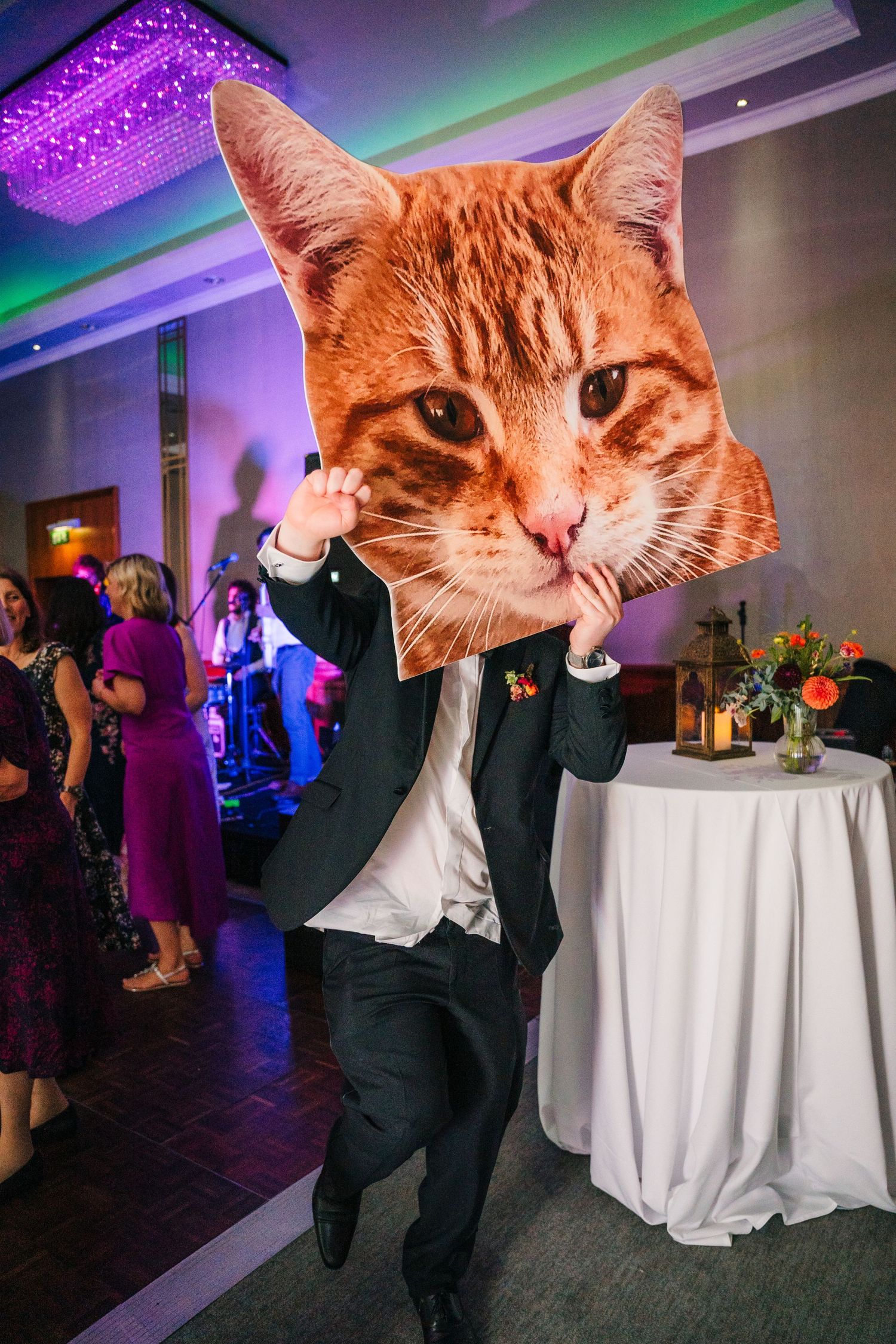 Orange tabby cat heads digitally edited onto dancing people at a wedding reception with purple and green lighting.Wedding Photography Trim C
