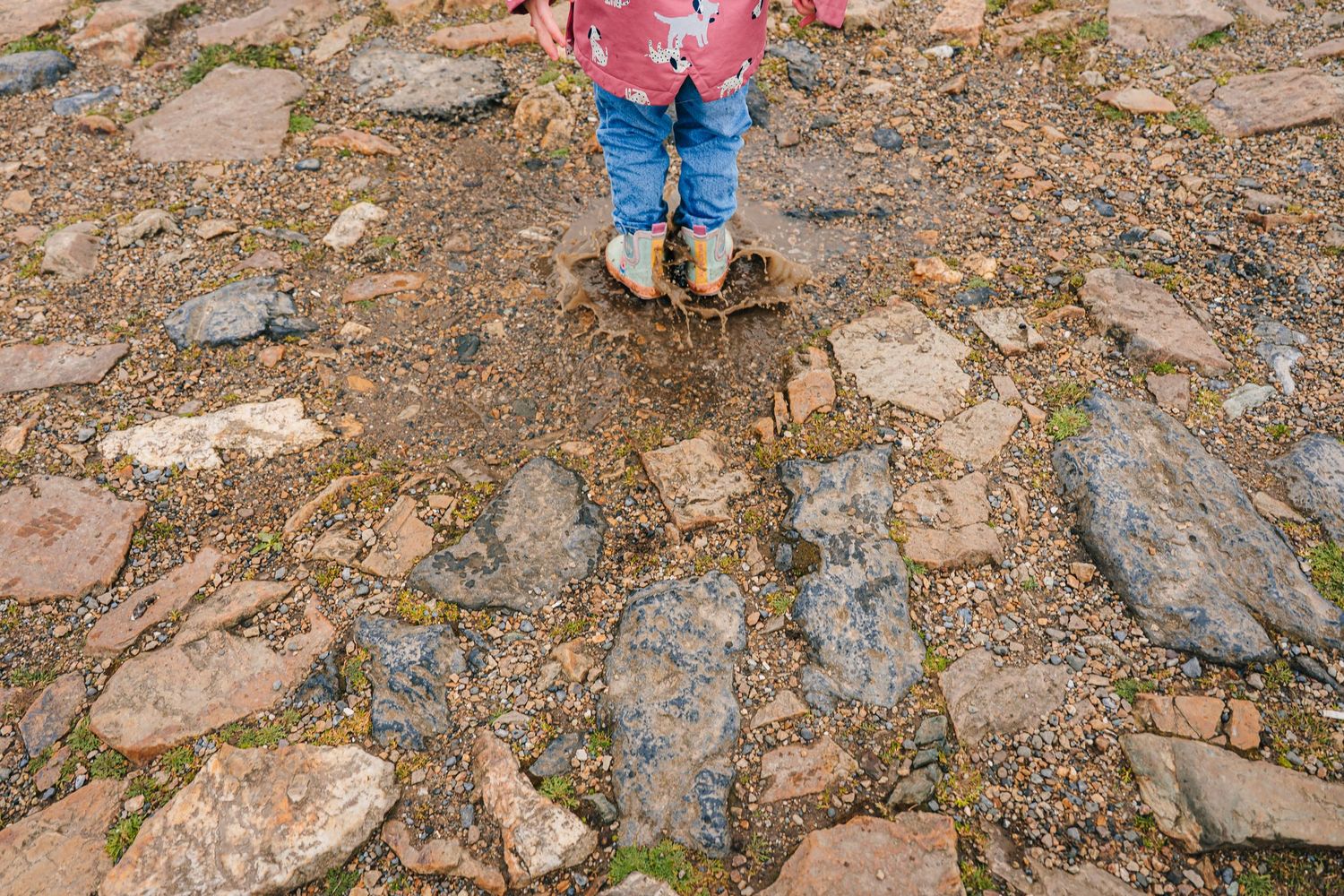 A person's boots walking on rocky mountain terrain with scattered stones and small plants around. PHOTOGRAPHER Dublin