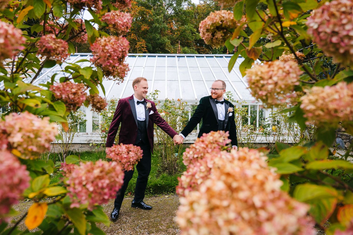 Wedding party poses under blooming hydrangea flowers in a lush garden setting. Wedding photographer Dublin