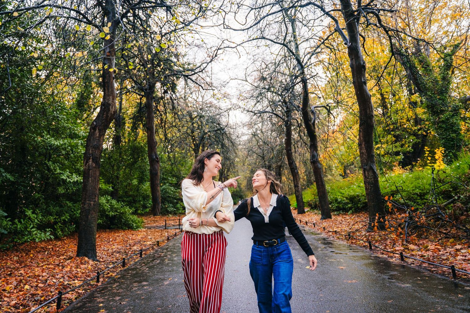 People walking together on tree-lined path covered in fallen autumn leaves. professional headshots dublin photographer