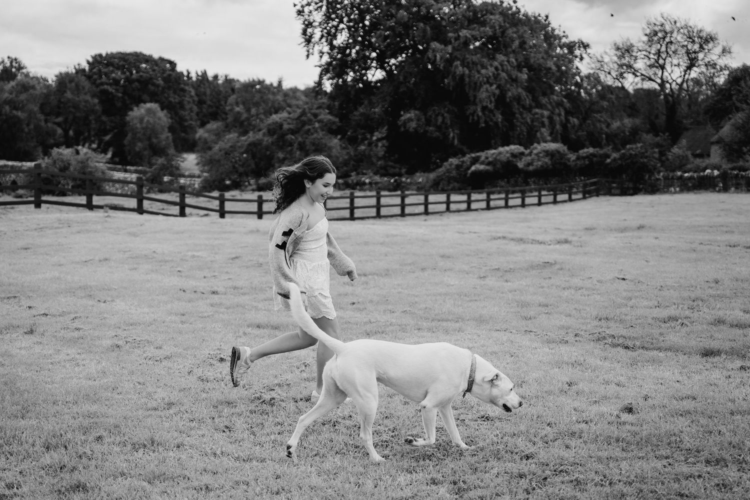 Seven black and white photos showing a dog running and playing in a grassy field. BEctive abbey family photographer dublin