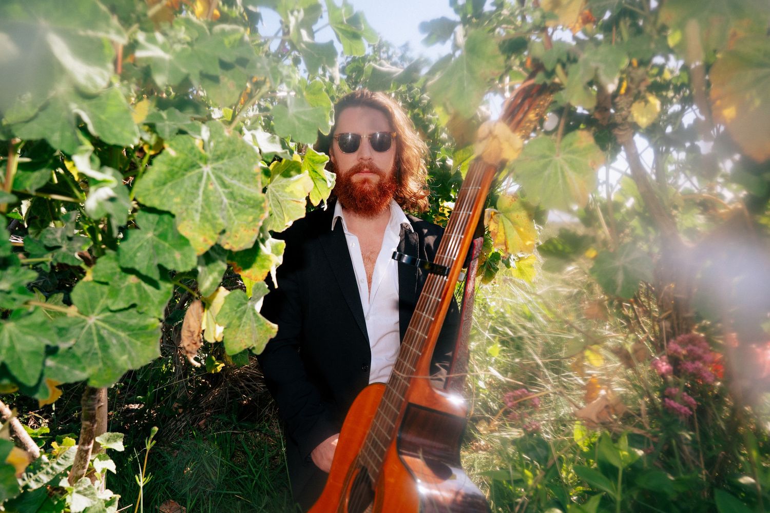 Musician playing guitar among green vineyard leaves with natural sunlight filtering through. PHOTOGRAPHER Dublin