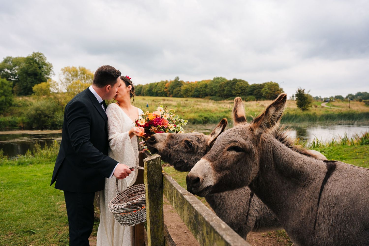 Newlyweds share a moment petting friendly donkeys in a countryside setting. Wedding Photography Trim Castle Ireland