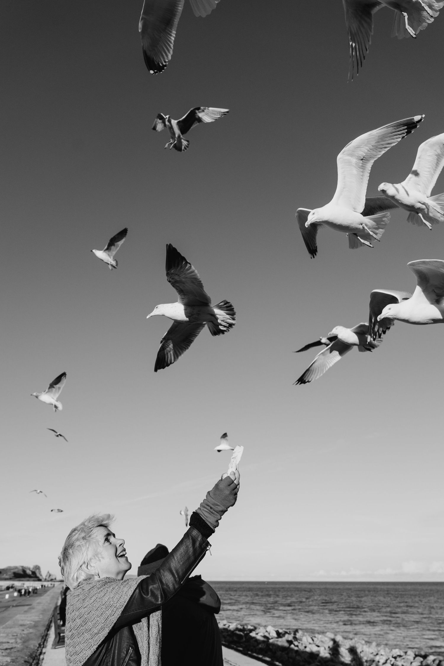 Dramatic black and white shot of seagulls flying over waterfront scene. professional headshots branding photographer dublin ireland
