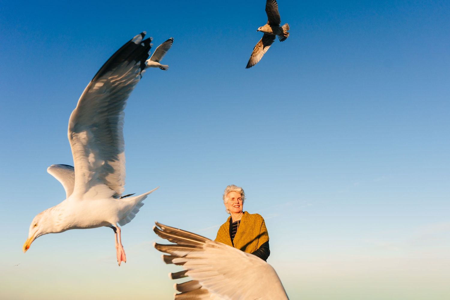 Seagulls soar gracefully against a bright blue sky while a person in orange clothing stands below. professional headshots branding photograp