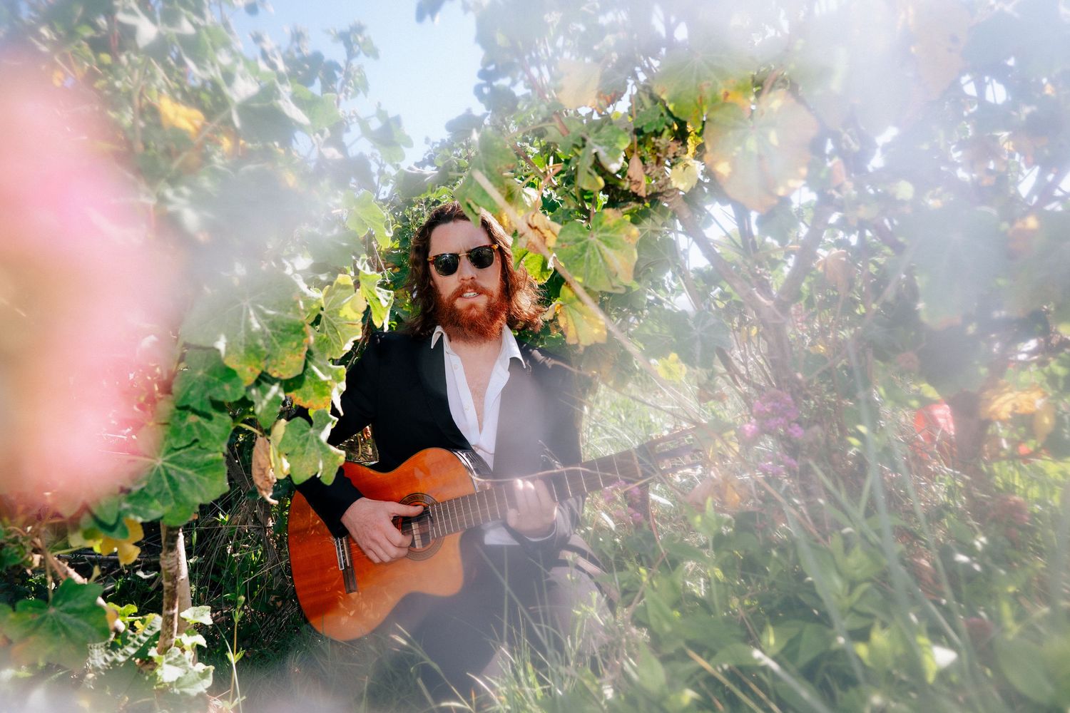 Artistic view through flowering branches of guitarist in natural setting. PHOTOGRAPHER Dublin