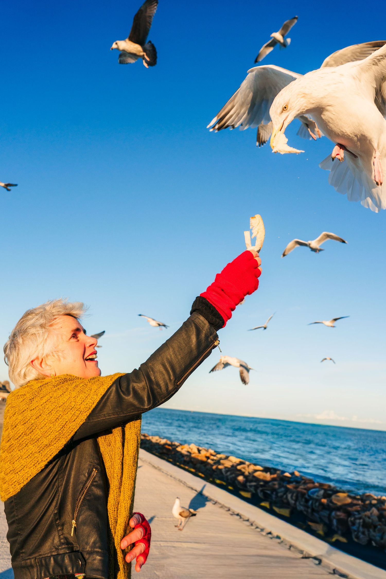 Person in yellow sweater feeds seagulls on a pier overlooking bright blue ocean waters. professional headshots branding photographer dublin