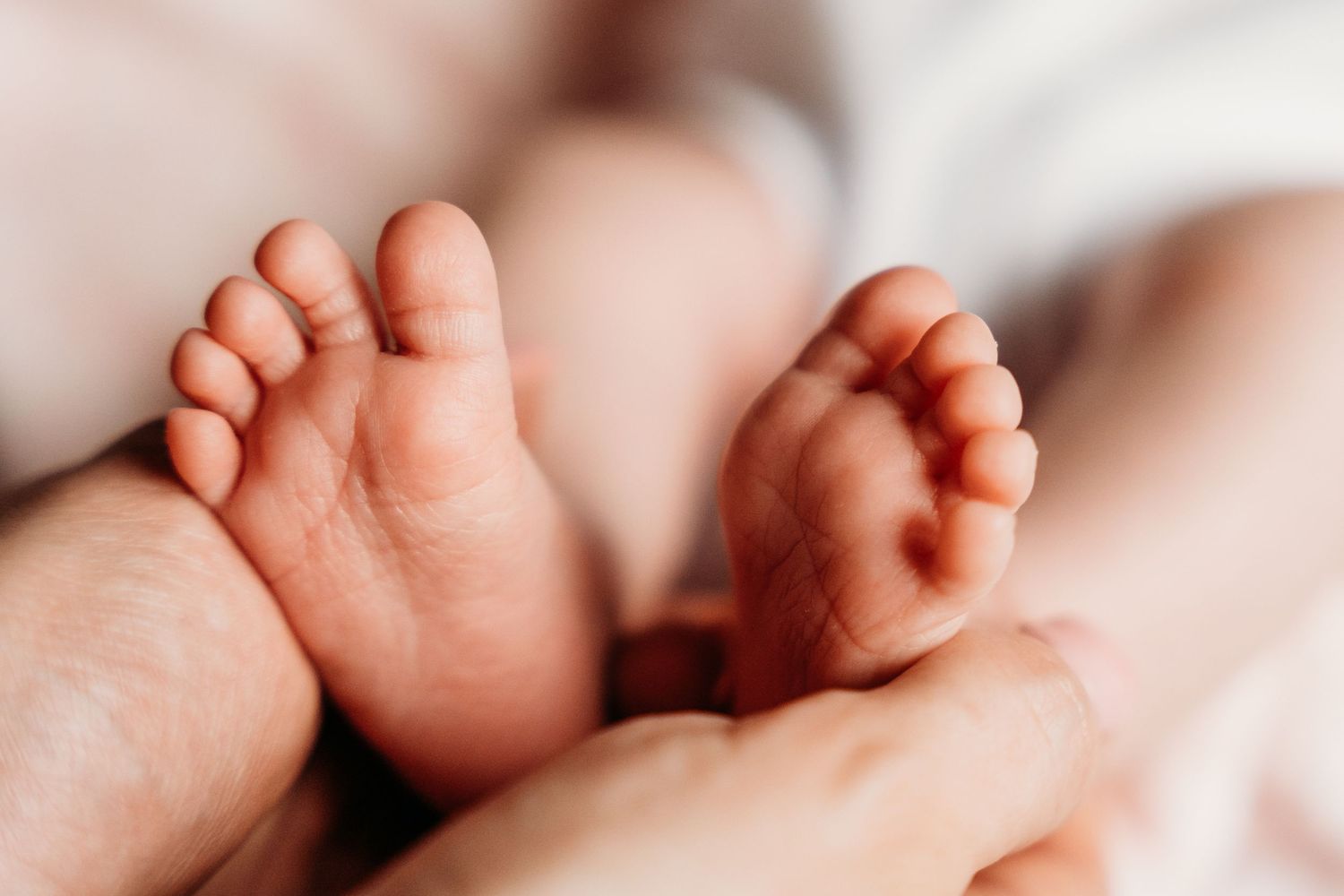 Close up view of tiny newborn baby feet with soft wrinkles and delicate toes against white background. Family PHOTOGRAPHER Dublin