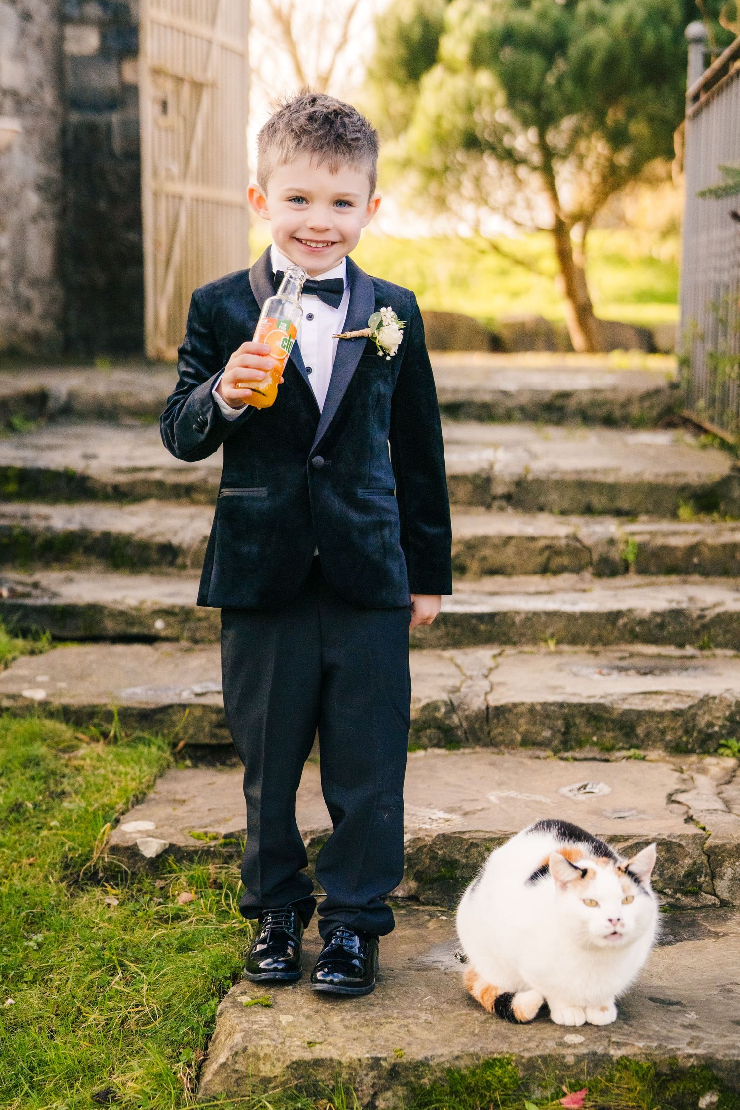 Young boy in formal suit sits next to a fluffy white cat on stone steps outdoors. Ballymagarvey Wedding photographer