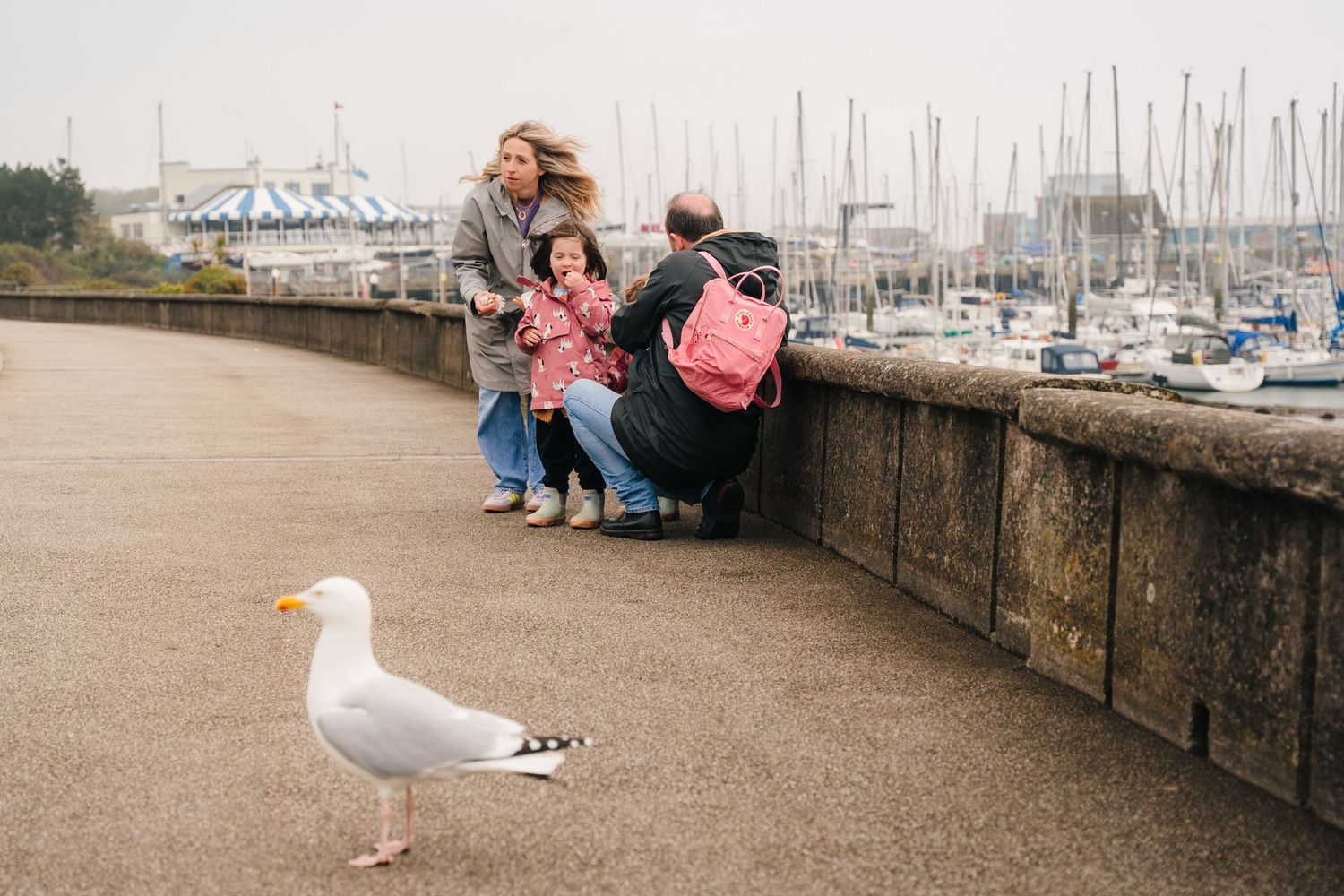 A seagull stands near people sitting on a harbor wall with boats and masts in the background. PHOTOGRAPHER Dublin