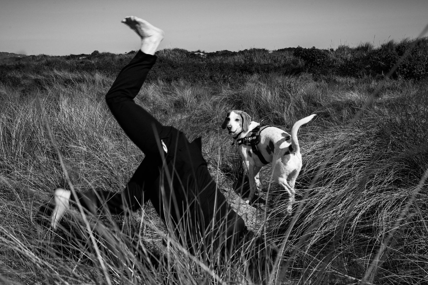 Black and white photo of a playful dog with its owner in tall grass. PHOTOGRAPHER Dublin