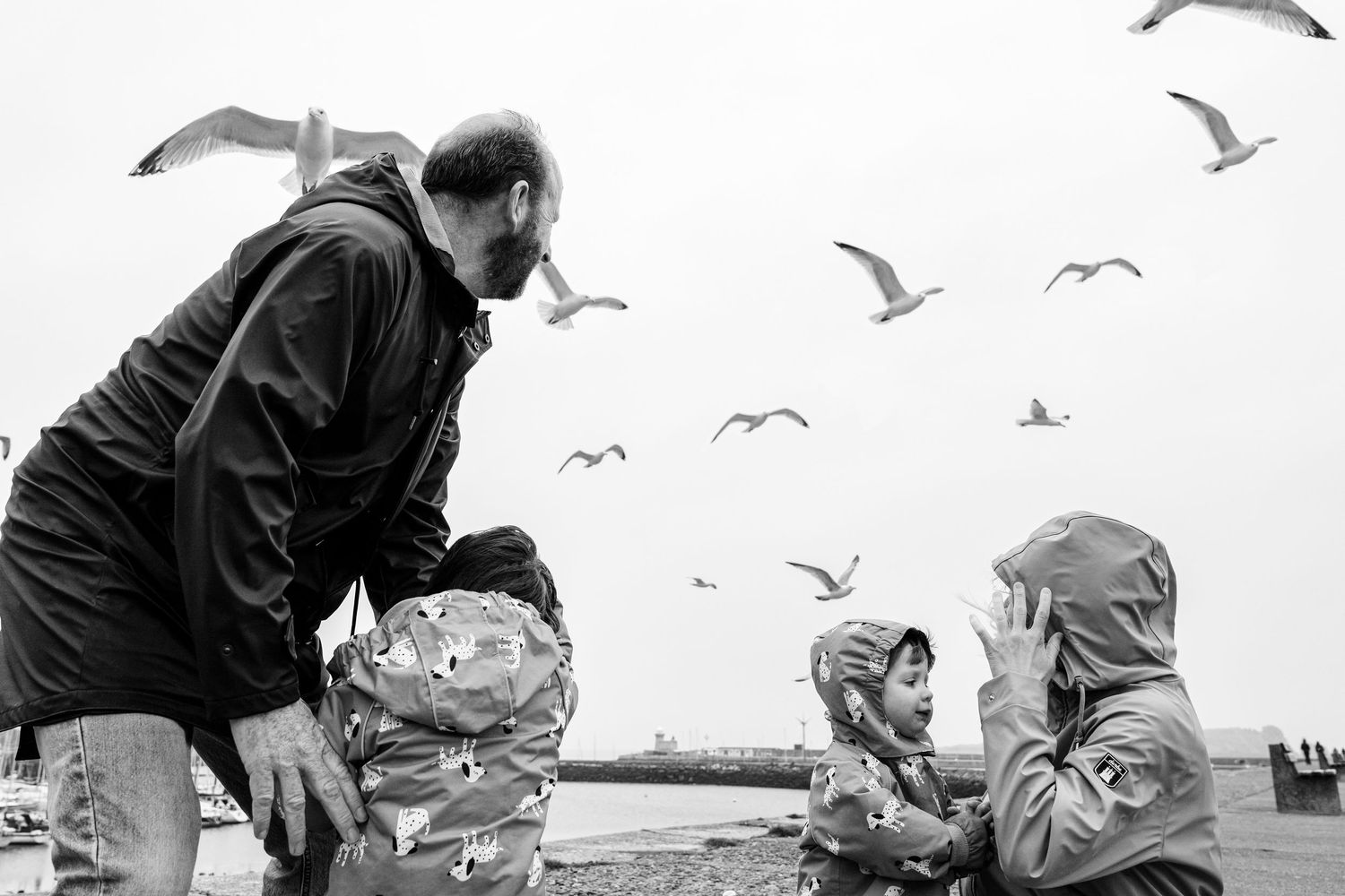 A playful scene at a pier with seagulls flying overhead as people interact on a cloudy day. PHOTOGRAPHER Dublin