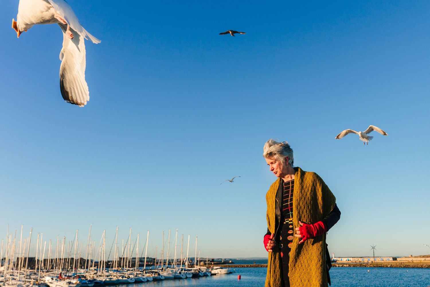 Seagulls soar above a marina filled with sailboat masts against a bright blue sky on a sunny day. professional headshots branding photograph