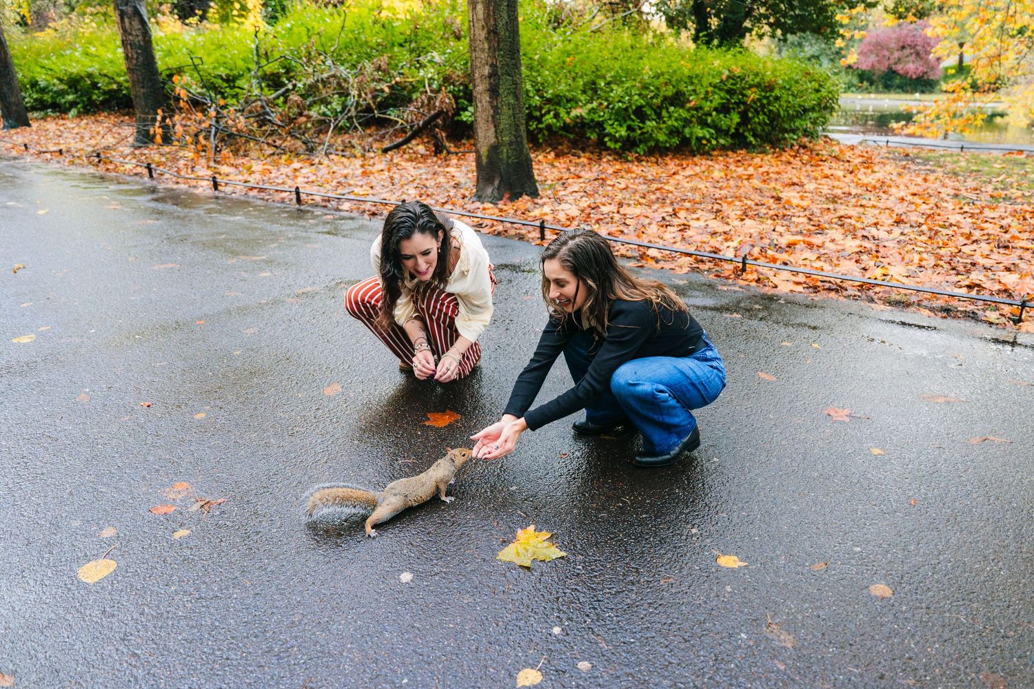 Playful moments captured on wet pavement surrounded by scattered autumn leaves. professional headshots dublin photographer