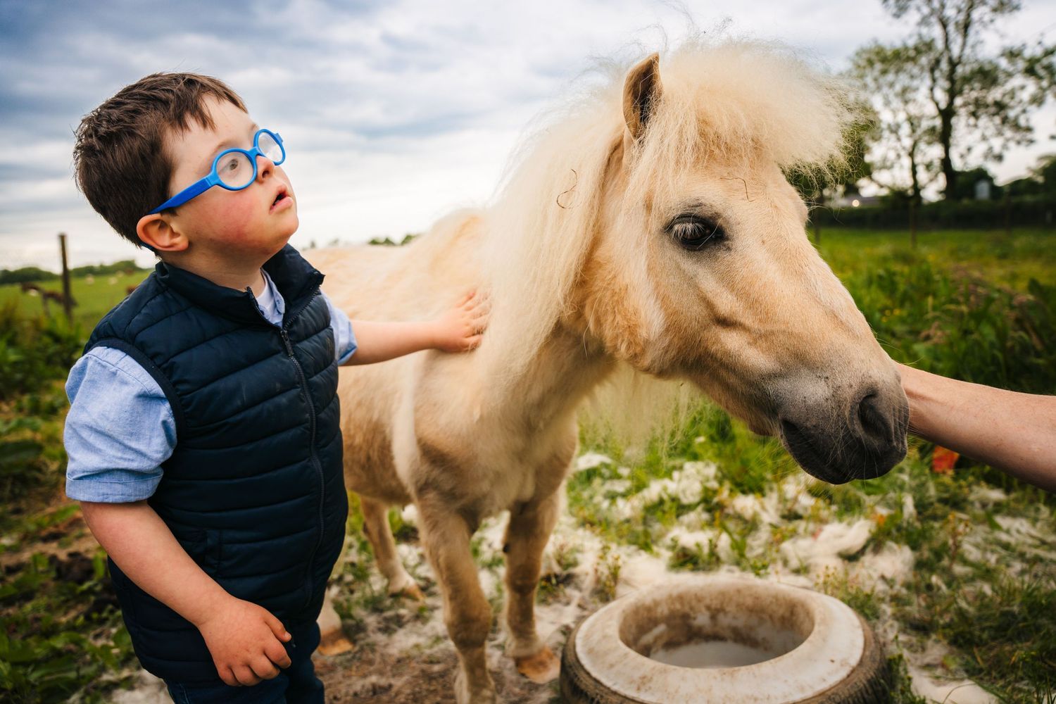Three sequential images show a young pony eating from a feeding bucket in a sunny meadow with wildflowers. family PHOTOGRAPHER Dublin