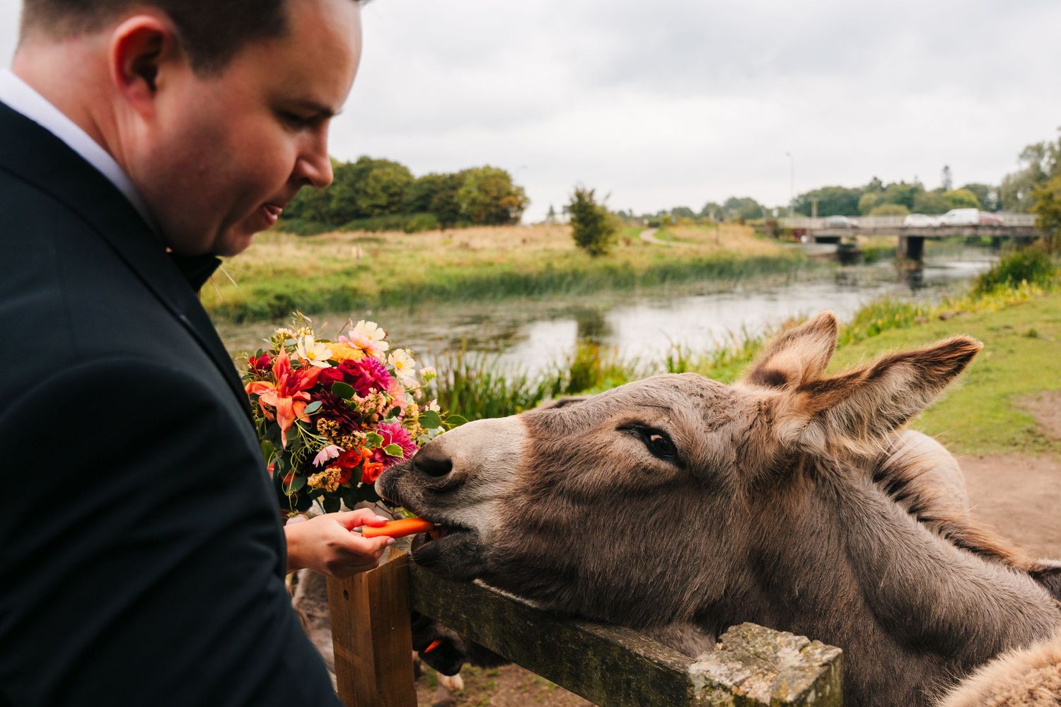 A curious donkey sniffs a vibrant wedding bouquet held by a person in formal attire near a riverbank. Wedding Photography Trim Castle Irelan