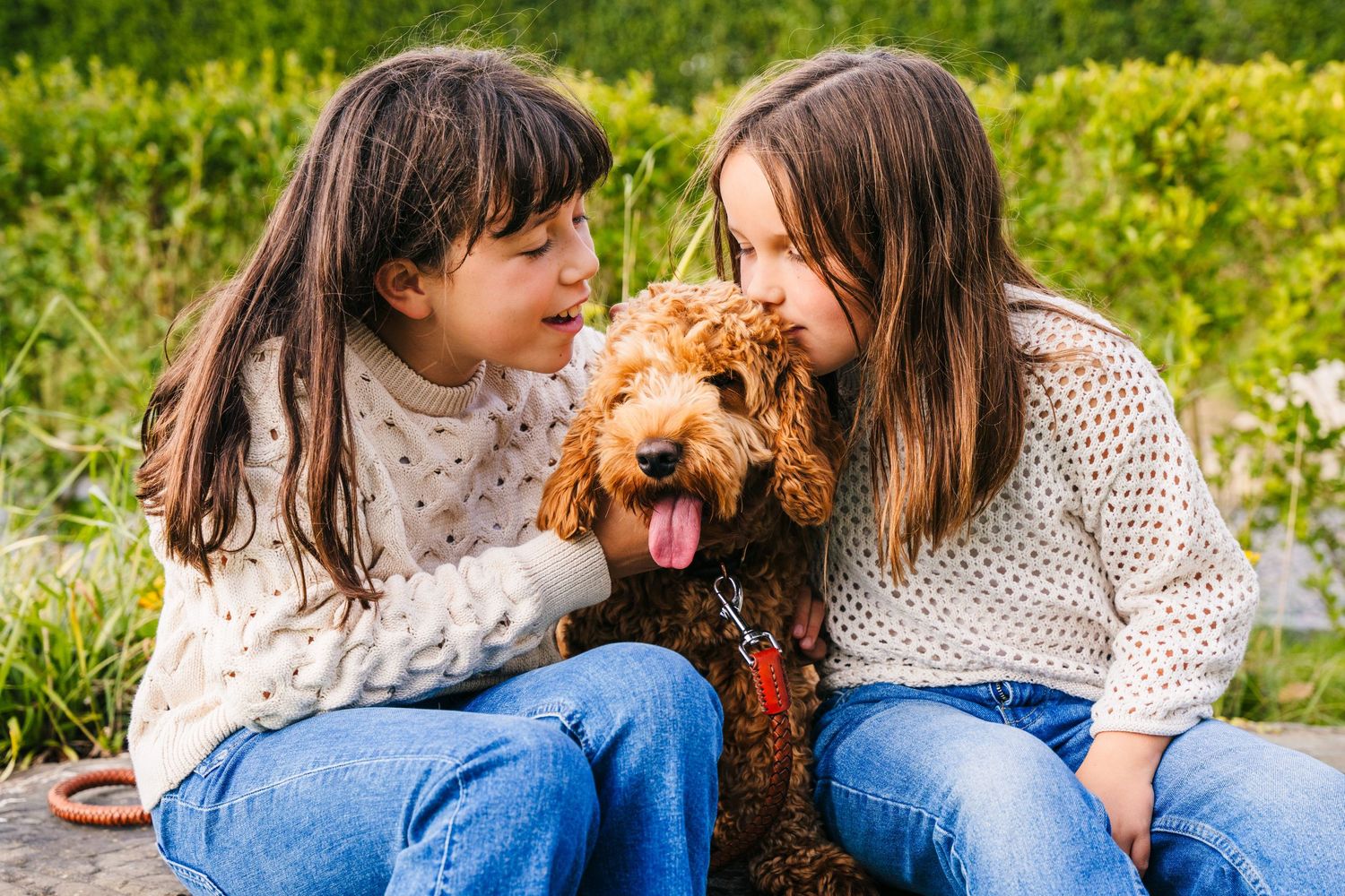 Two people in sweaters sitting outdoors with their happy red-haired poodle mix dog in a grassy setting. family PHOTOGRAPHER Dublin