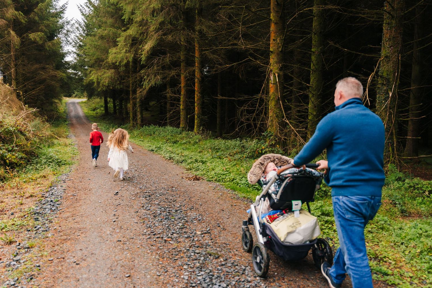 Family Photographer Dublin Ireland scenic forest trail with a stroller along a gravel path surrounded by tall evergreen trees.