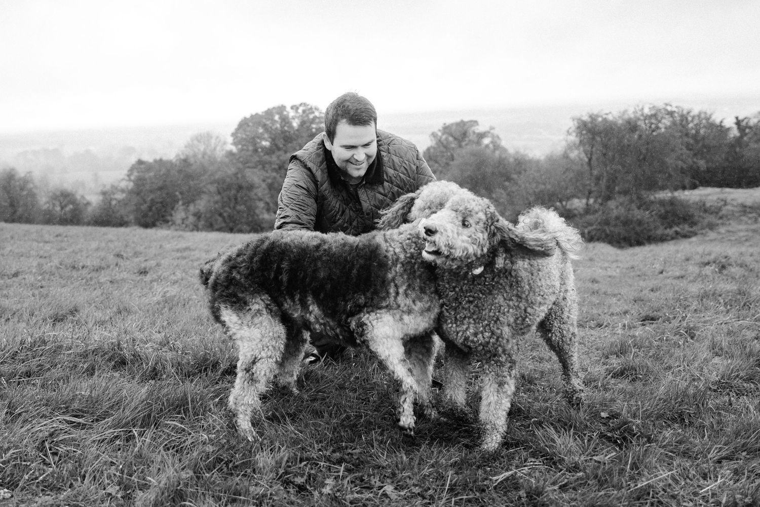 A series of black and white photos showing playful moments between dogs and people in a field. Family photographer Dublin