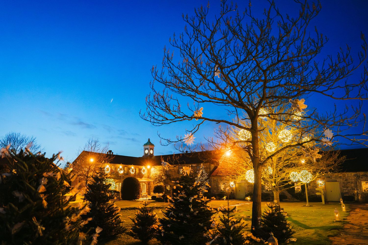 Historic buildings and trees illuminated at dusk against a deep blue sky create a serene panoramic view. Ballymagarvey Wedding photographer