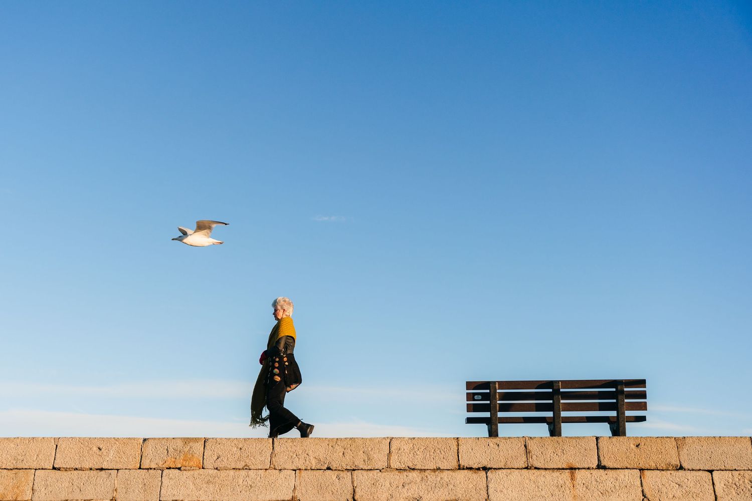 A seagull soars above people walking along a stone wall against a bright blue sky. professional headshots branding photographer dublin irela