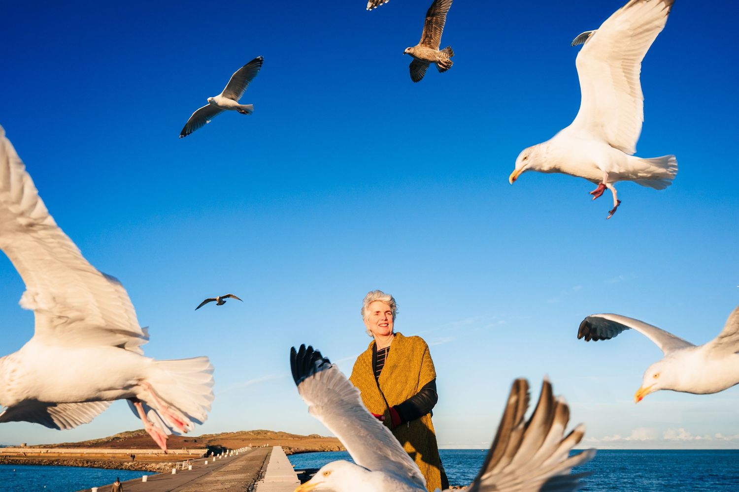 Seagulls soar and swoop around a boat against bright blue sky at sea during a sunny day. Professional headshots dublin branding photographer