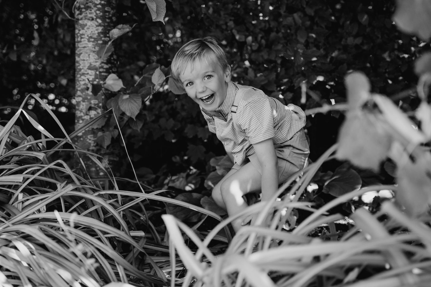 Close-up black and white photograph of tall grass or foliage with bokeh effect in background. . Village Barn Tyrrellspass wedding photograph