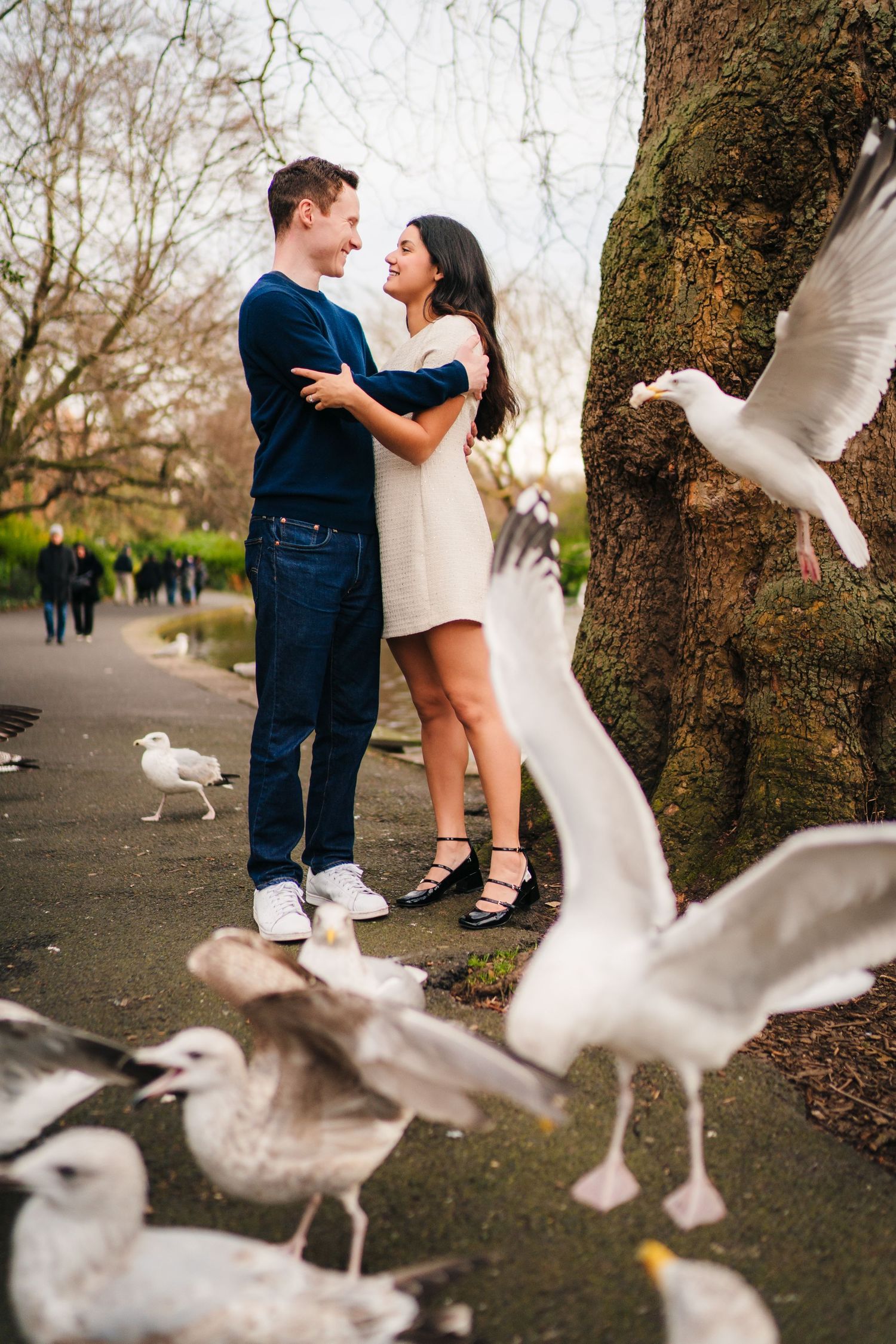 A romantic couple poses near a tree as seagulls flutter around them creating a whimsical outdoor moment. Surprise proposal dublin photograph