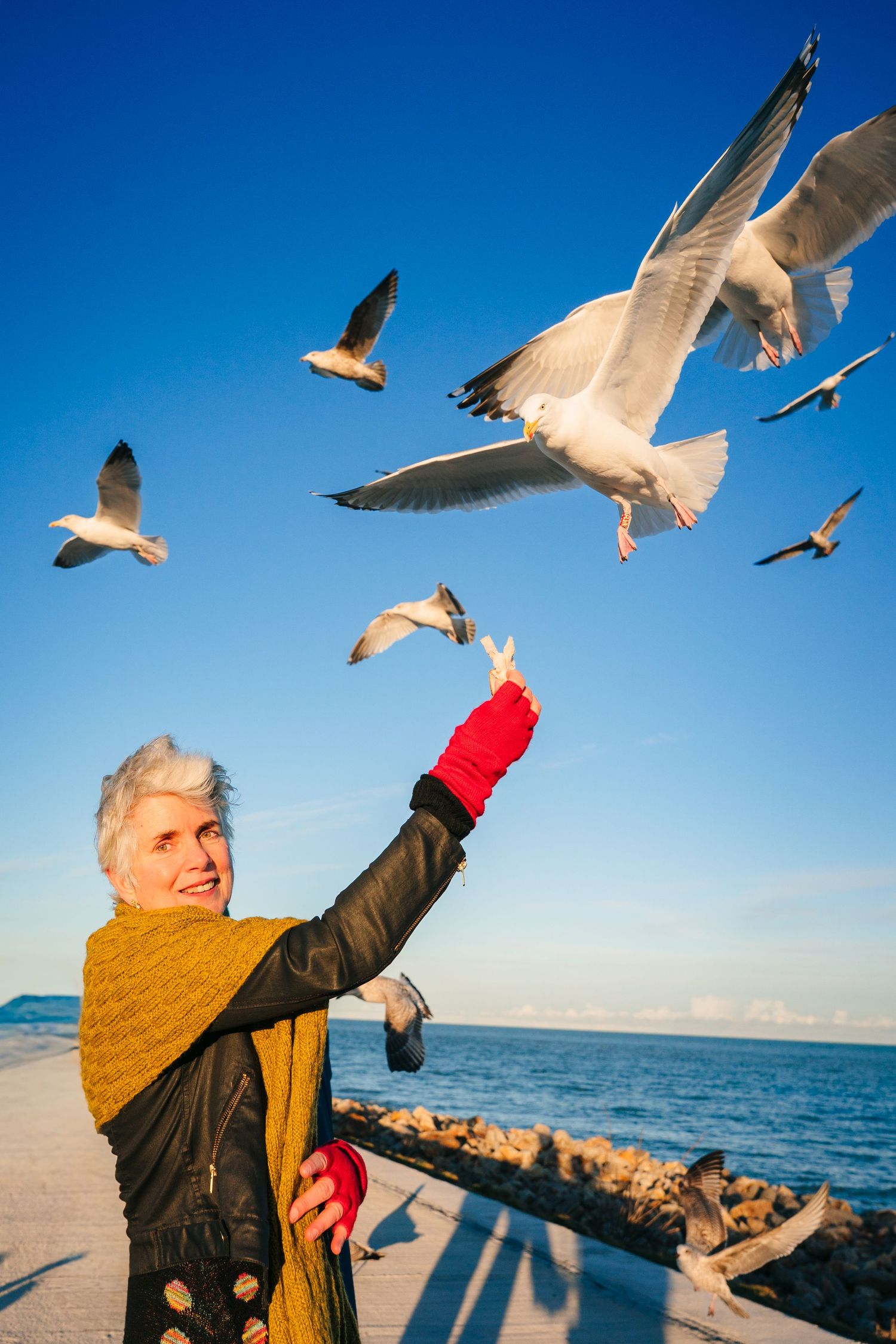 Someone in a black coat and yellow scarf reaches up to feed seagulls flying overhead by the ocean. professional headshots branding photograp