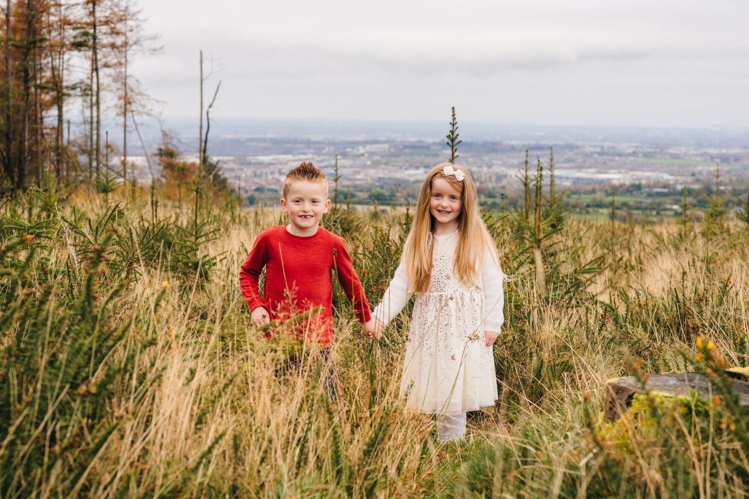 Family Photographer Dublin Ireland Beautiful fall landscape with pine trees and rolling hills in soft natural lighting.