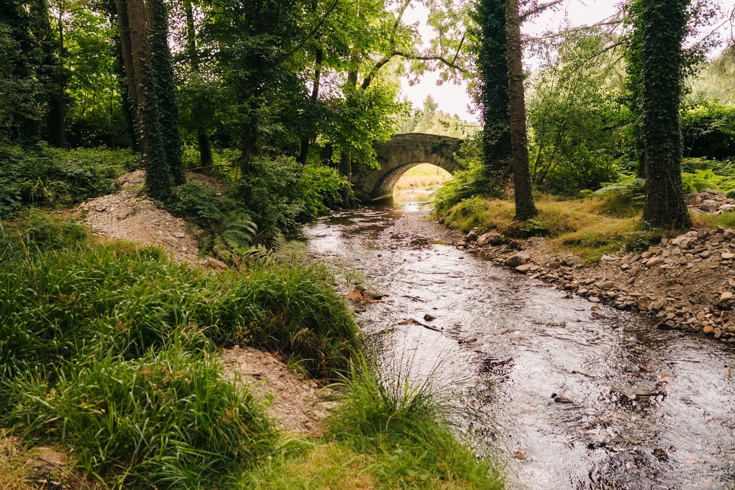 brooklodge & Macreddin village wedding photographer dublin ireland