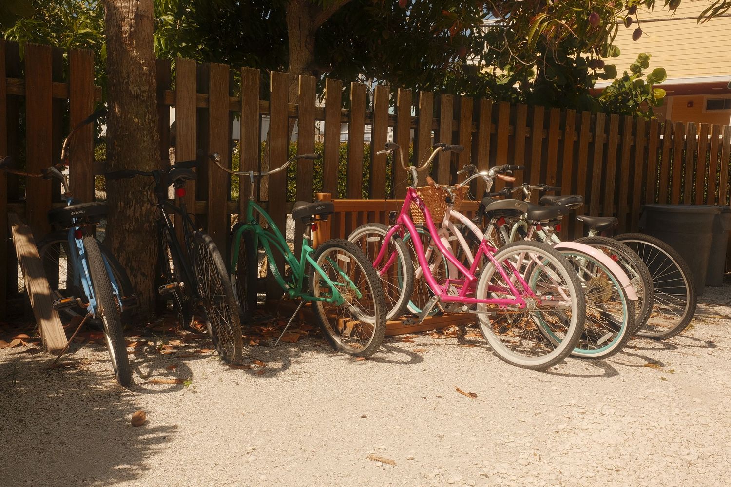 A row of colorful bicycles parked against a wooden fence in a sunny backyard area.