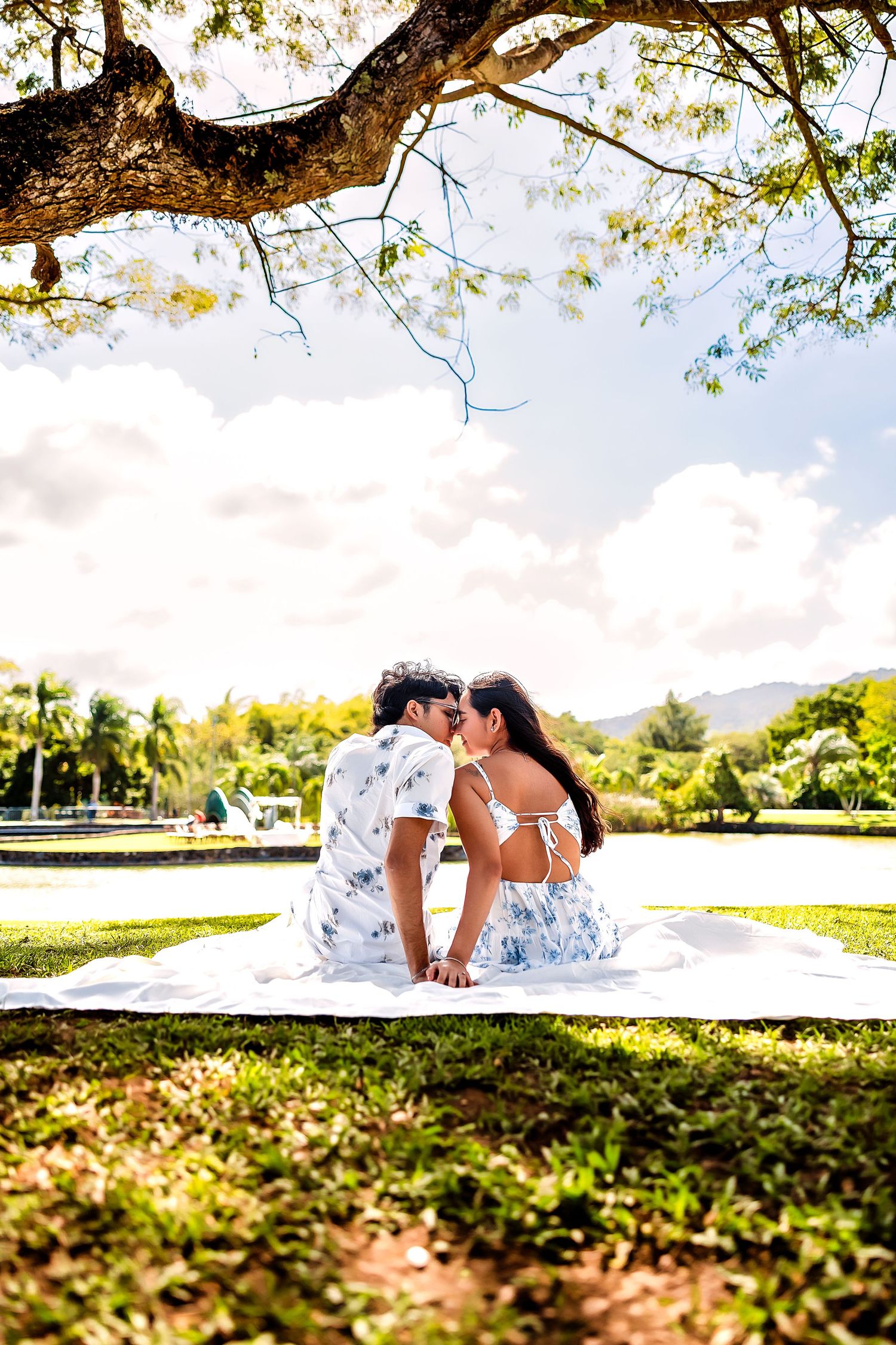 A couple sits together on a blanket in a sunny park under a large tree branch on a beautiful summer day.