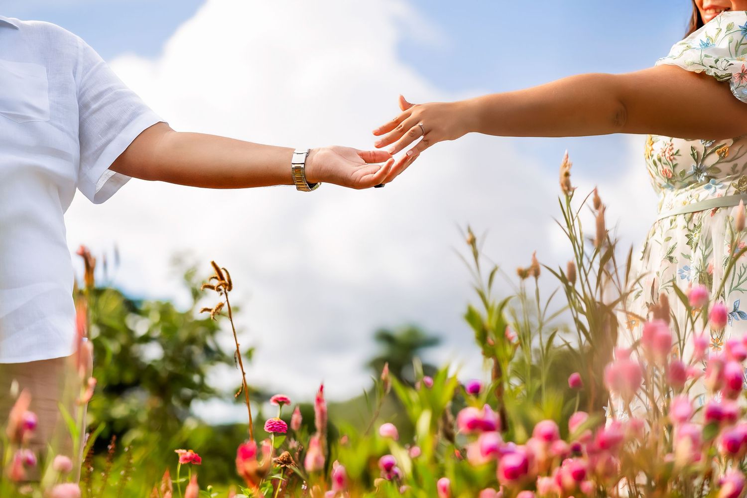 Two people reaching toward each other in a blooming flower field under a bright sky.
