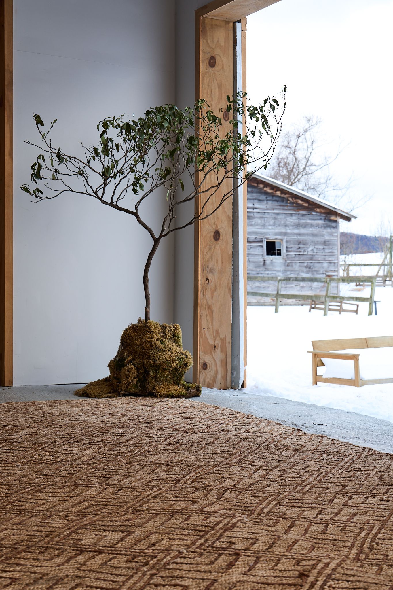 Product and lifestyle photograph of a rug designed and made by Postcard company, photographed upstate NY