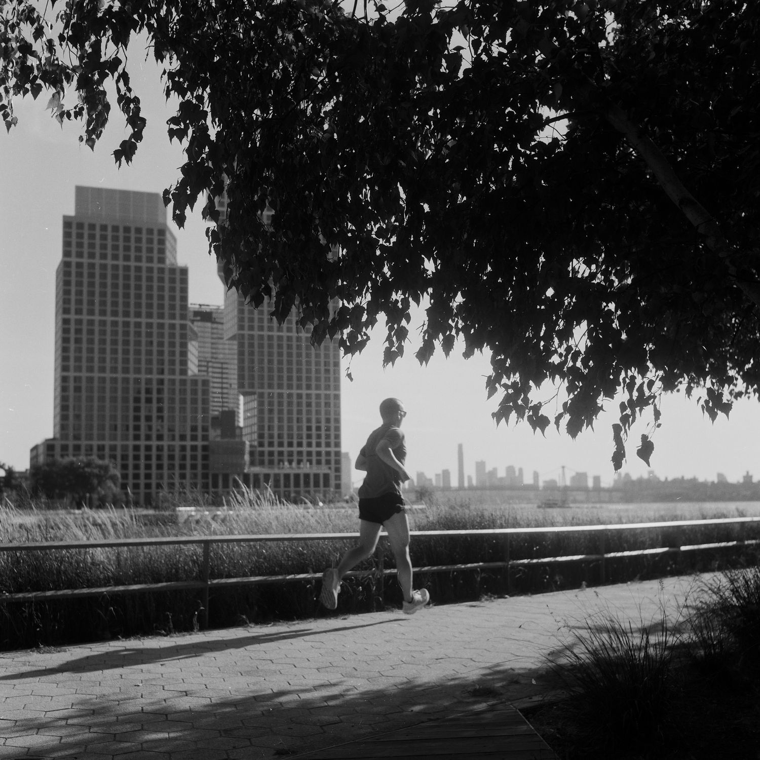 NY street photography, black and white film photography,