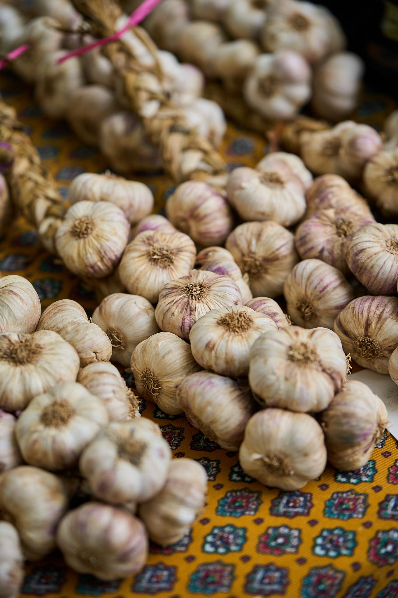 Travel and editorial photography, Provence, France, bunch of garlic
