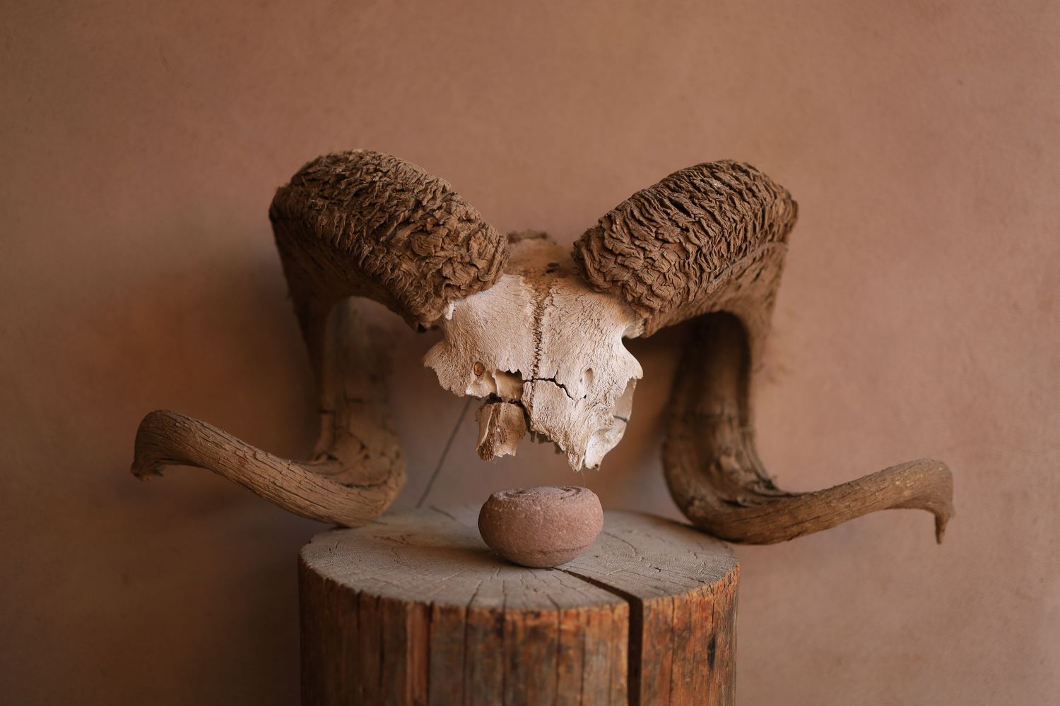 travel and editorial photography, New Mexico, House