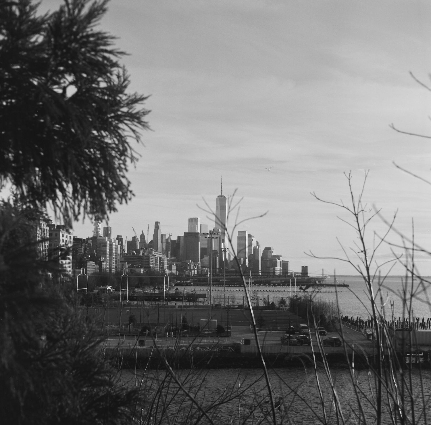 NY street photography, black and white film photography