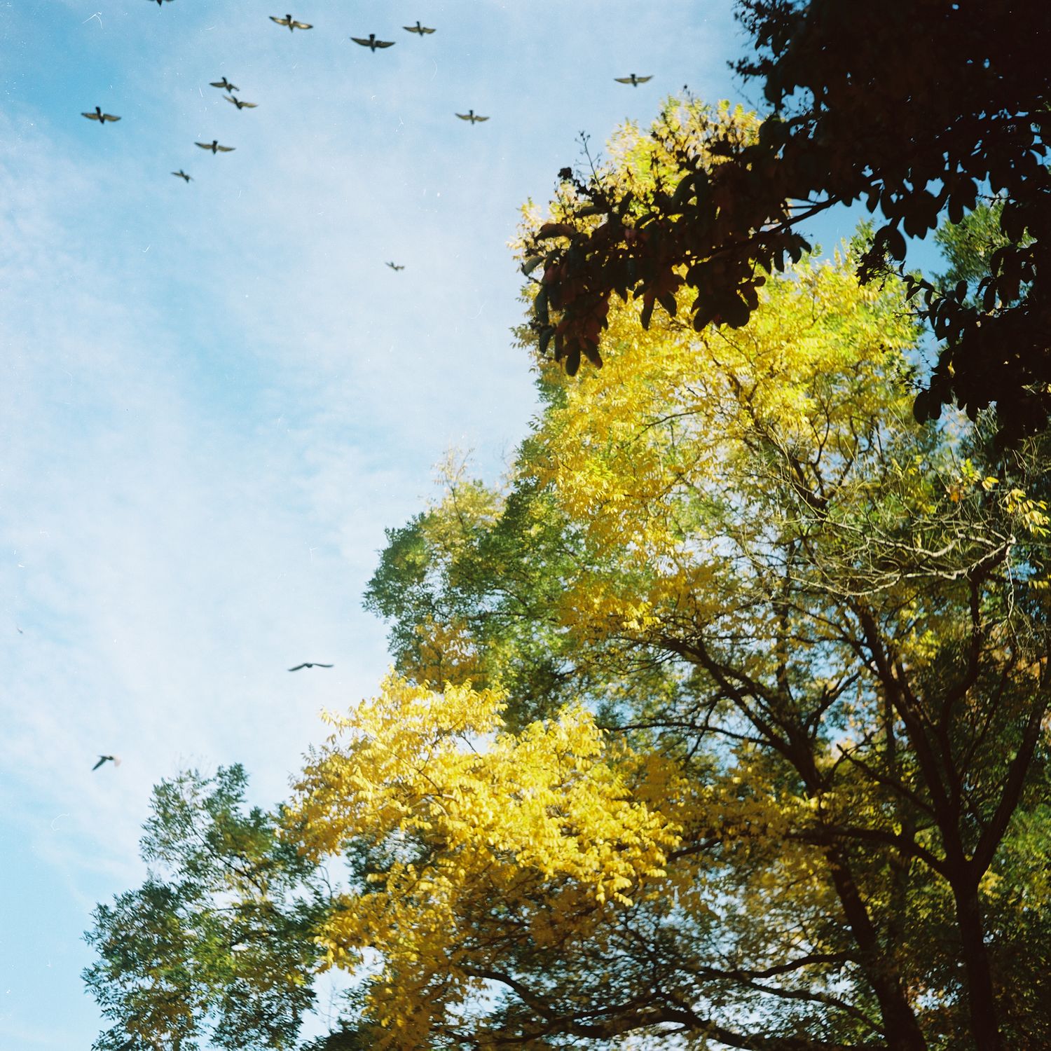 NY street photography, color film photography,