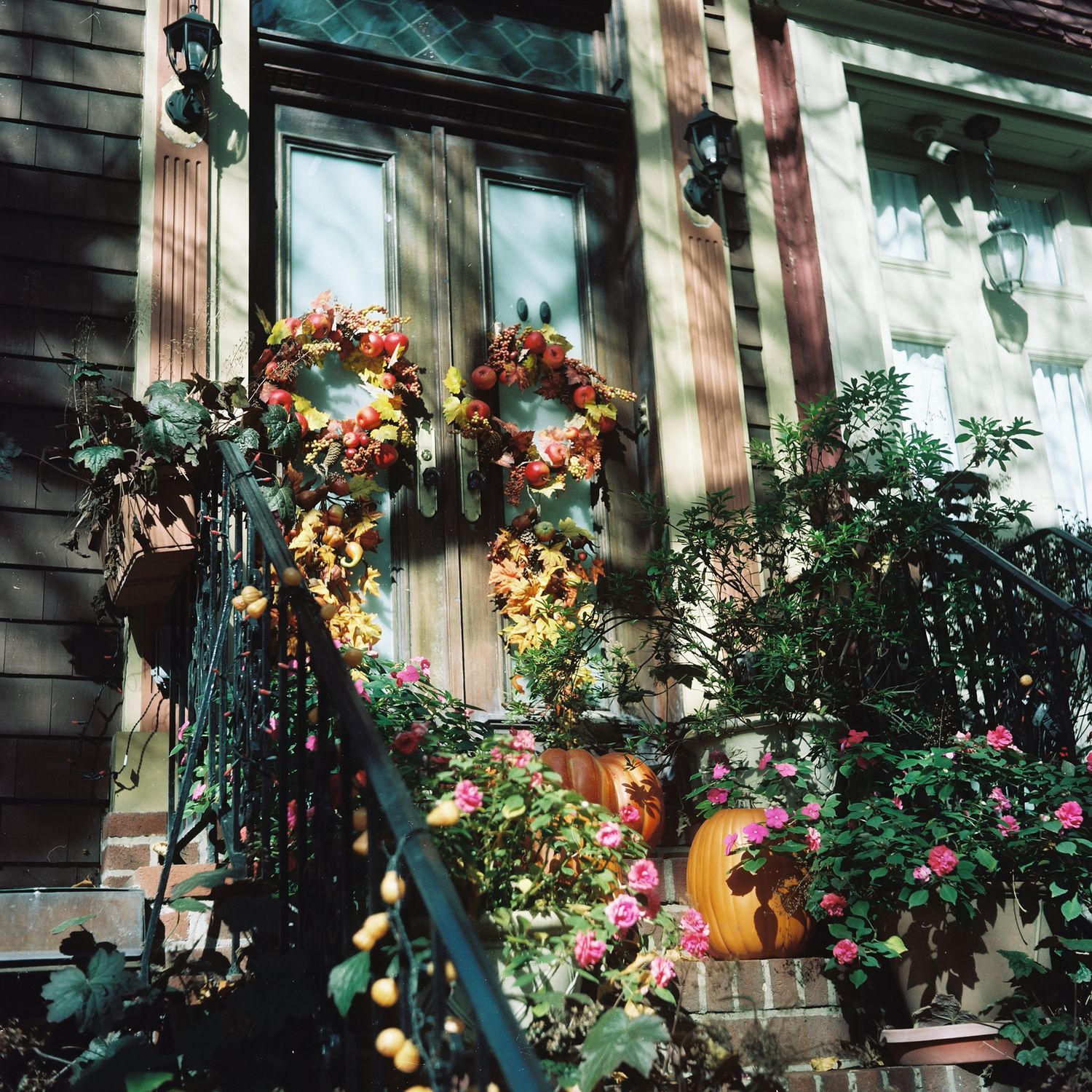 NY street photography, color film photography,