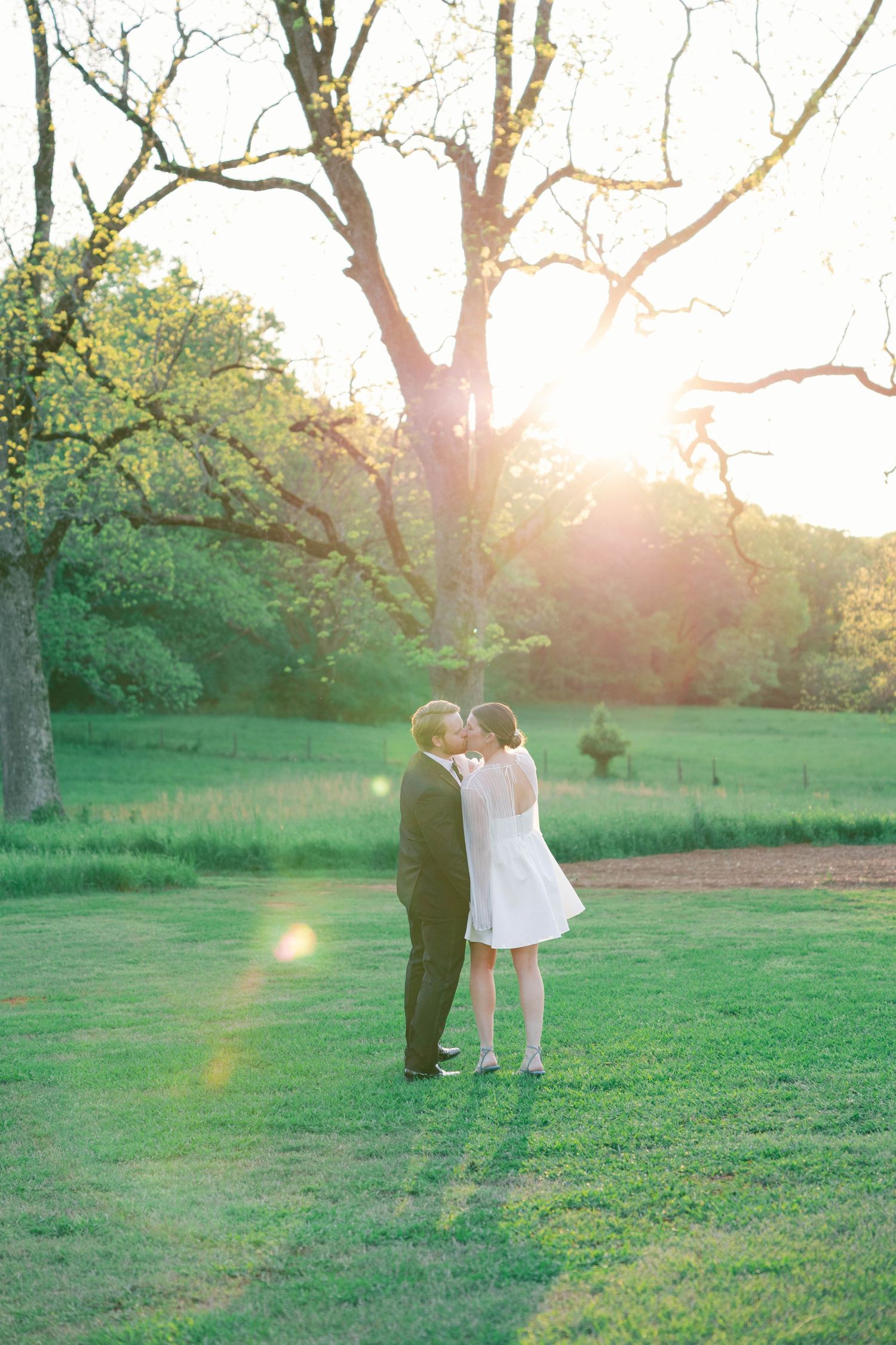 Two figures stand together on a grassy hill at sunset beneath a large tree.