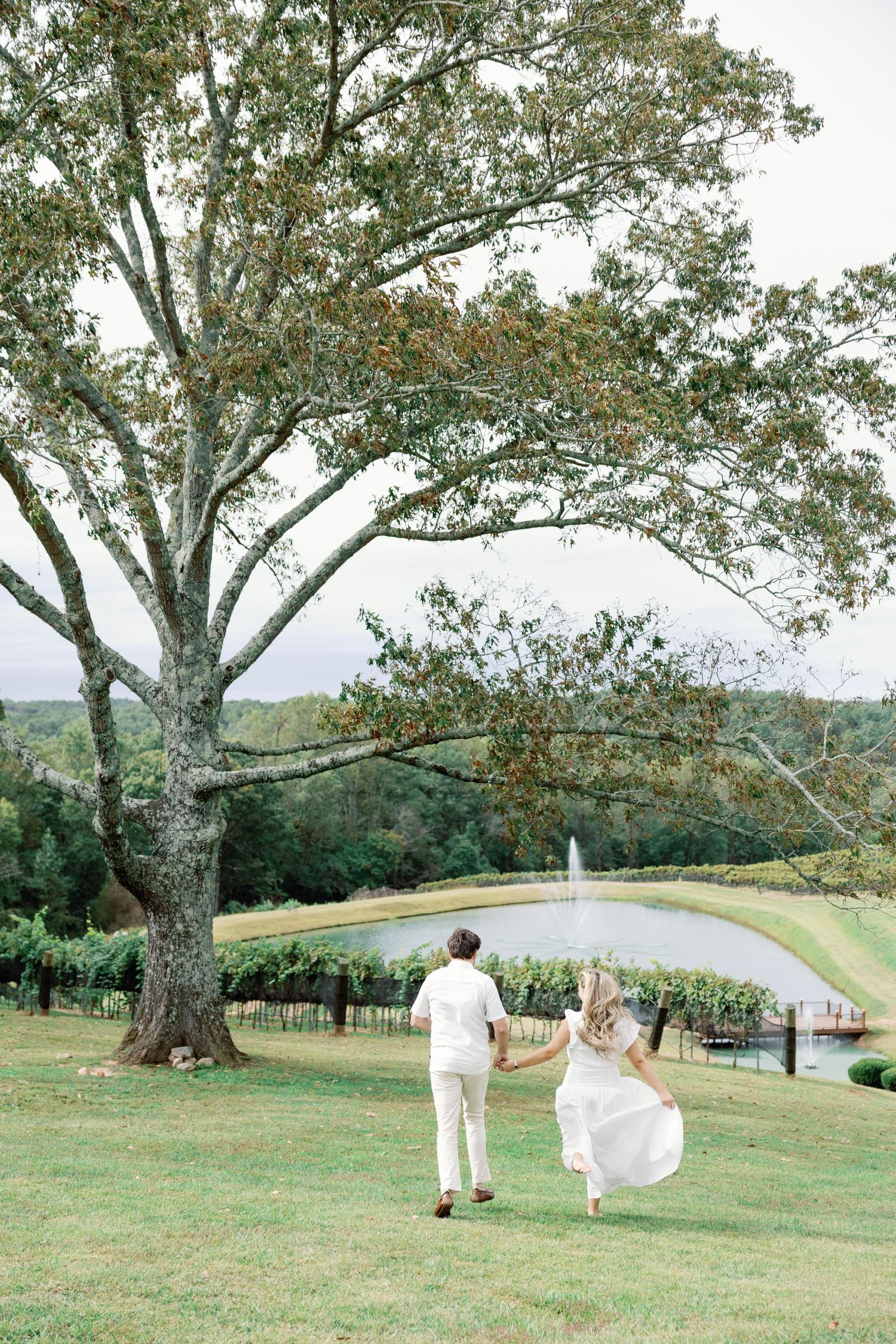 A couple walks hand in hand across a scenic grassy hillside with large trees in a romantic outdoor setting.