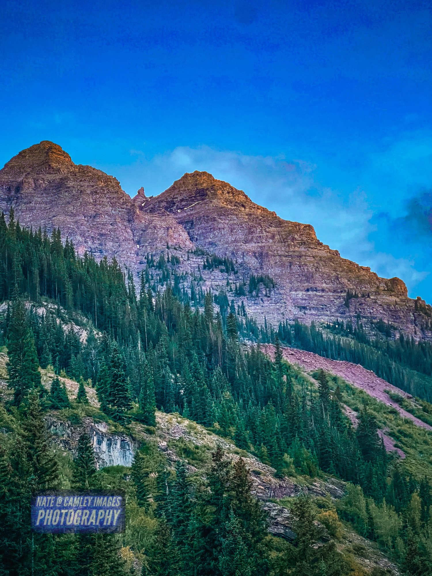 Rugged mountain peaks rise above dense evergreen forest under bright blue sky in a scenic mountain landscape.