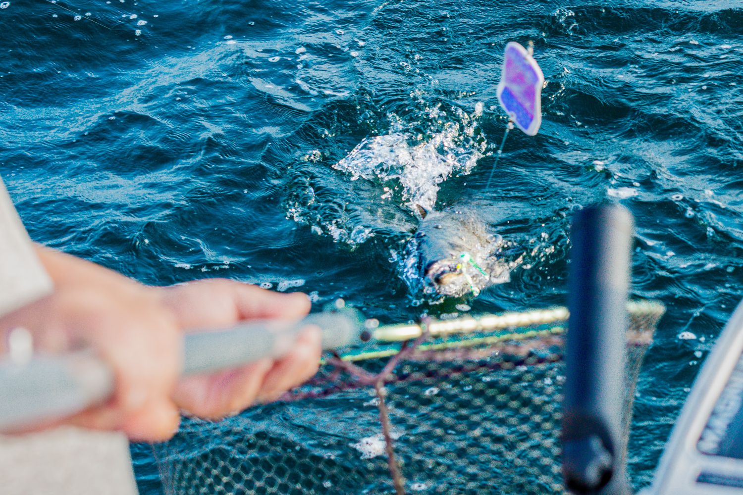 Hand releases a fish back into blue ocean water while splashing creates rippling effect on the surface.