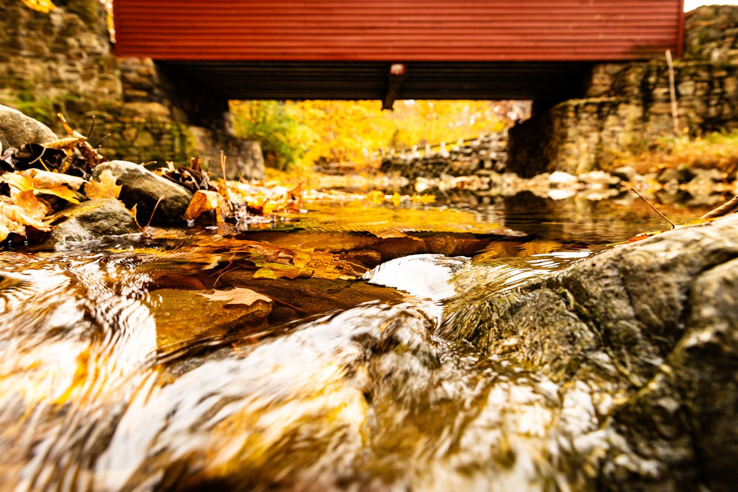 Natural stream flowing over mossy rocks with golden sunlight filtering through trees.